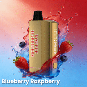Double happines vape in stocks 12000 puffs fruit flavors disposable vape